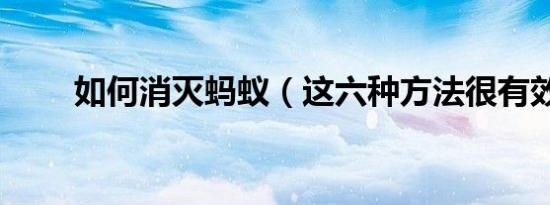 如何消灭蚂蚁（这六种方法很有效）