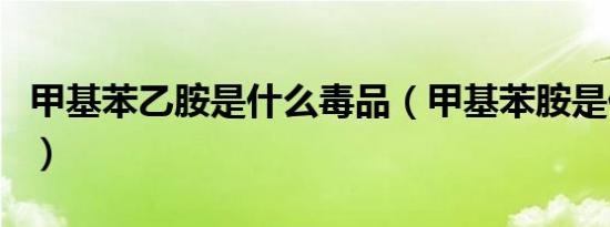 甲基苯乙胺是什么毒品（甲基苯胺是什么毒品）