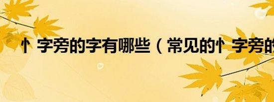 忄字旁的字有哪些（常见的忄字旁的字）