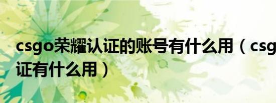 csgo荣耀认证的账号有什么用（csgo荣耀认证有什么用）