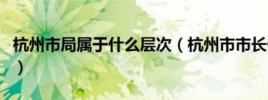 杭州市局属于什么层次（杭州市市长什么级别）