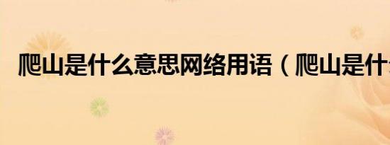 爬山是什么意思网络用语（爬山是什么梗）