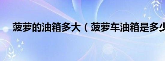 菠萝的油箱多大（菠萝车油箱是多少升）