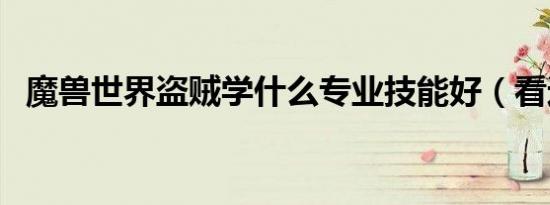 魔兽世界盗贼学什么专业技能好（看这里）
