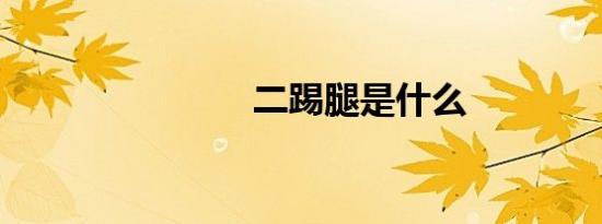 二踢腿是什么