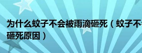 为什么蚊子不会被雨滴砸死（蚊子不会被雨滴砸死原因）