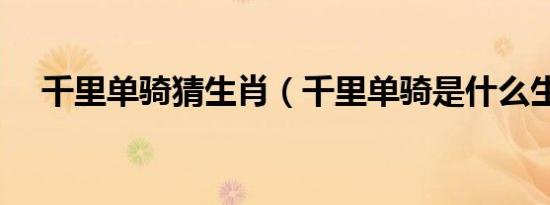 千里单骑猜生肖（千里单骑是什么生肖）