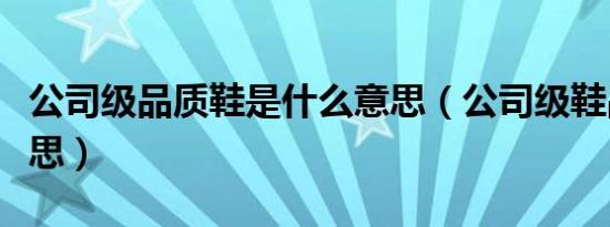 公司级品质鞋是什么意思（公司级鞋品什么意思）