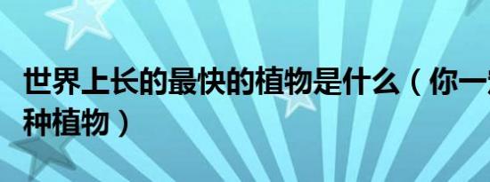 世界上长的最快的植物是什么（你一定认识这种植物）