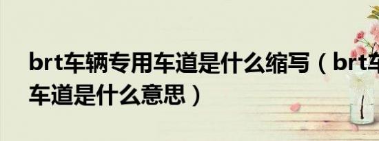 brt车辆专用车道是什么缩写（brt车辆专用车道是什么意思）