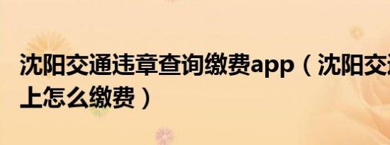沈阳交通违章查询缴费app（沈阳交通违章网上怎么缴费）