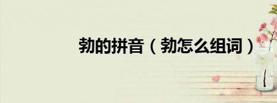 勃的拼音（勃怎么组词）