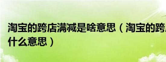 淘宝的跨店满减是啥意思（淘宝的跨店满减是什么意思）