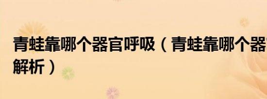 青蛙靠哪个器官呼吸（青蛙靠哪个器官呼吸的解析）