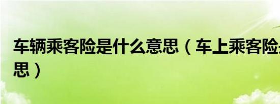 车辆乘客险是什么意思（车上乘客险是什么意思）