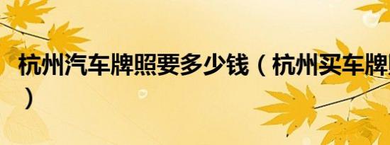 杭州汽车牌照要多少钱（杭州买车牌照多少钱）
