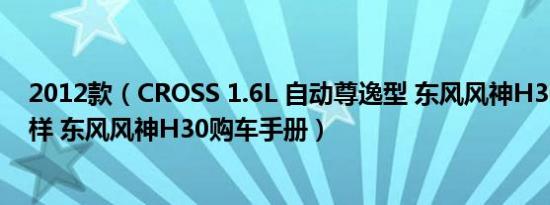 2012款（CROSS 1.6L 自动尊逸型 东风风神H30细节怎么样 东风风神H30购车手册）