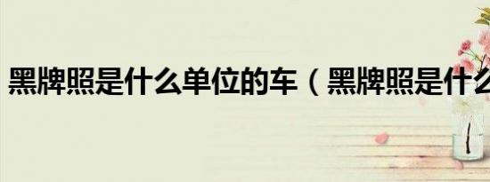 黑牌照是什么单位的车（黑牌照是什么意思）