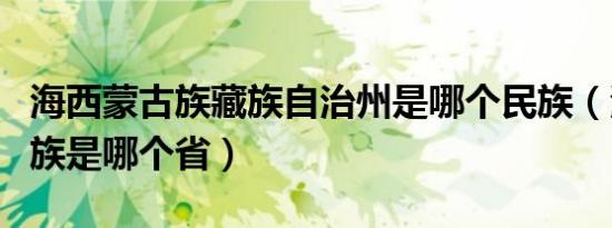 海西蒙古族藏族自治州是哪个民族（海西蒙古族是哪个省）