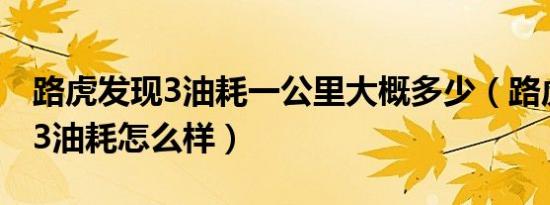 路虎发现3油耗一公里大概多少（路虎发现者3油耗怎么样）