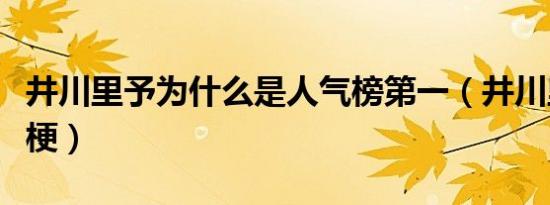 井川里予为什么是人气榜第一（井川里予什么梗）
