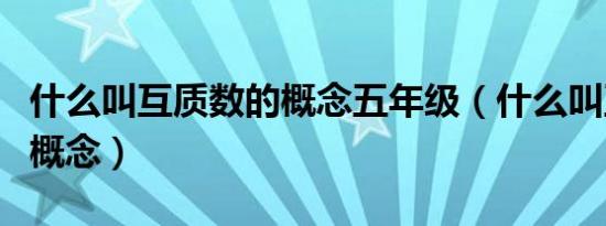 什么叫互质数的概念五年级（什么叫互质数的概念）