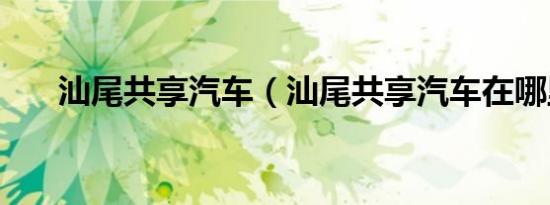 汕尾共享汽车（汕尾共享汽车在哪里）