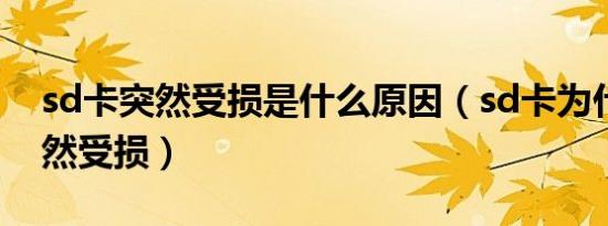 sd卡突然受损是什么原因（sd卡为什么会突然受损）