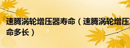 速腾涡轮增压器寿命（速腾涡轮增压发动机寿命多长）