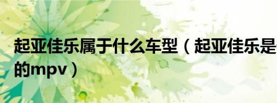 起亚佳乐属于什么车型（起亚佳乐是什么级别的mpv）