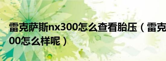 雷克萨斯nx300怎么查看胎压（雷克萨斯nx300怎么样呢）