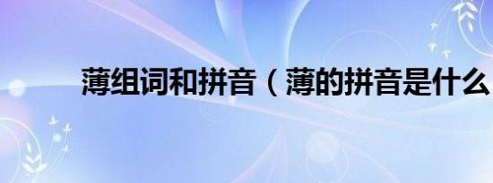 薄组词和拼音（薄的拼音是什么）