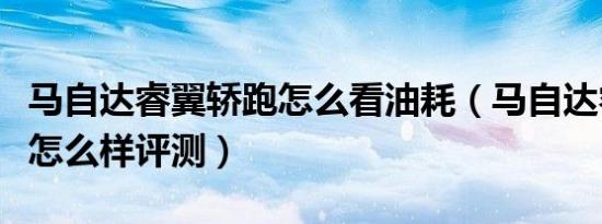 马自达睿翼轿跑怎么看油耗（马自达睿翼轿跑怎么样评测）