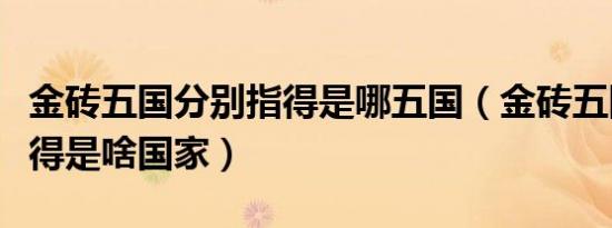 金砖五国分别指得是哪五国（金砖五国分别指得是啥国家）