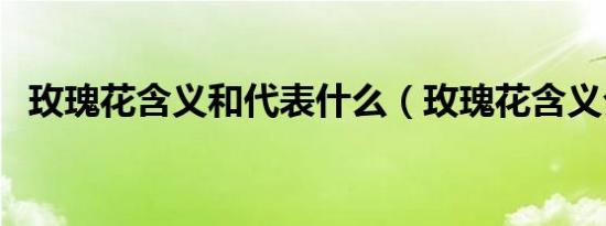 玫瑰花含义和代表什么（玫瑰花含义介绍）