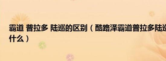 霸道 普拉多 陆巡的区别（酷路泽霸道普拉多陆巡的区别是什么）