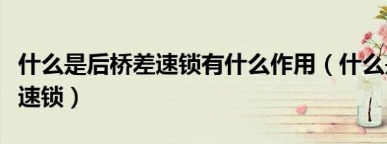 什么是后桥差速锁有什么作用（什么是后桥差速锁）
