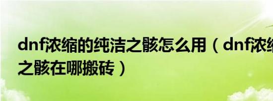 dnf浓缩的纯洁之骸怎么用（dnf浓缩的纯洁之骸在哪搬砖）