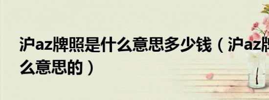 沪az牌照是什么意思多少钱（沪az牌照是什么意思的）
