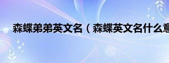 森蝶弟弟英文名（森蝶英文名什么意思）