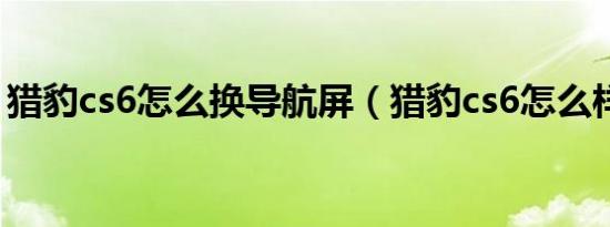 猎豹cs6怎么换导航屏（猎豹cs6怎么样省油）