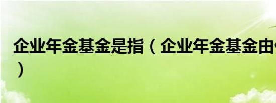 企业年金基金是指（企业年金基金由什么组成）