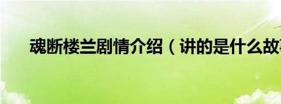 魂断楼兰剧情介绍（讲的是什么故事）