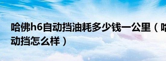 哈佛h6自动挡油耗多少钱一公里（哈佛h6自动挡怎么样）