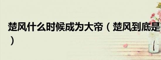 楚风什么时候成为大帝（楚风到底是哪位大帝）