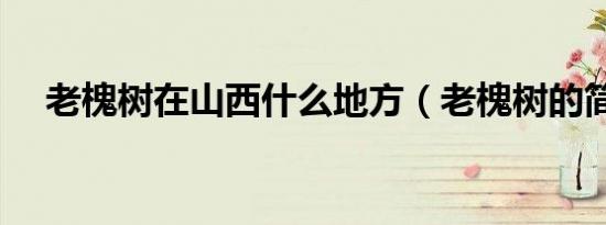 老槐树在山西什么地方（老槐树的简介）