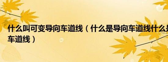 什么叫可变导向车道线（什么是导向车道线什么是可变导向车道线）