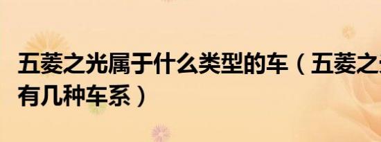 五菱之光属于什么类型的车（五菱之光立业型有几种车系）