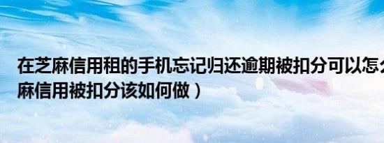 在芝麻信用租的手机忘记归还逾期被扣分可以怎么做（在芝麻信用被扣分该如何做）
