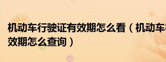 机动车行驶证有效期怎么看（机动车行驶证有效期怎么查询）